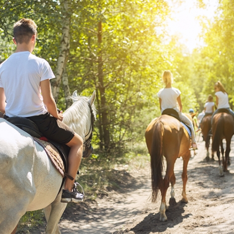 DECOUVERTE DE L'EQUITATION EN FAMILLE - 01/05/2024