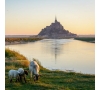 TRAVERSE DE LA BAIE DU MONT SAINT MICHEL - 13/10/2024