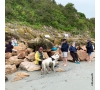 SORTIE EN BAIE DU MONT SAINT MICHEL - 31/08/2025