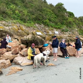 SORTIE EN BAIE DU MONT SAINT MICHEL - 31/08/2025