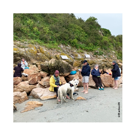 SORTIE EN BAIE DU MONT SAINT MICHEL - 31/08/2025