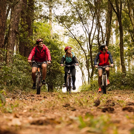RANDONNEE VTT-GRAVEL "Entre terre et mer" - 18/10/2025