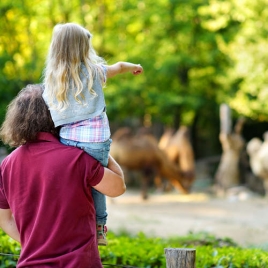HALLOWEEN AU PARC ANIMALIER D'ECOUVES - 29/10/2025