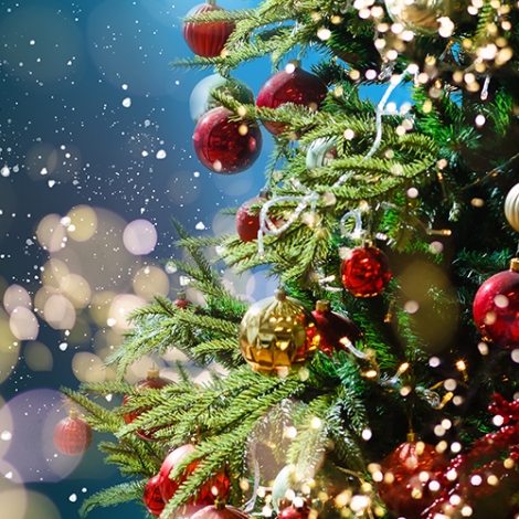 Croisière promenade au cœur des lumières de Laval - 06/12/2025