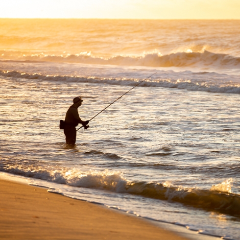 NITIATION ET PERFECTIONNEMENT AU SURFCASTING - 07/03/2026