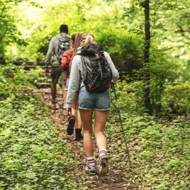 RANDONNÉE PÉDESTRE ET VTT DE COULOUVRAY-BOISBENÂTRE - 21/03/2026