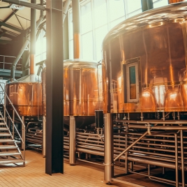 ATELIER BRASSAGE DE BIERES - 23/05/2026