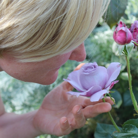 CUEILLETTE ET DEGUSTATION VEGETALE OCTEVILLE - 11/09/2026